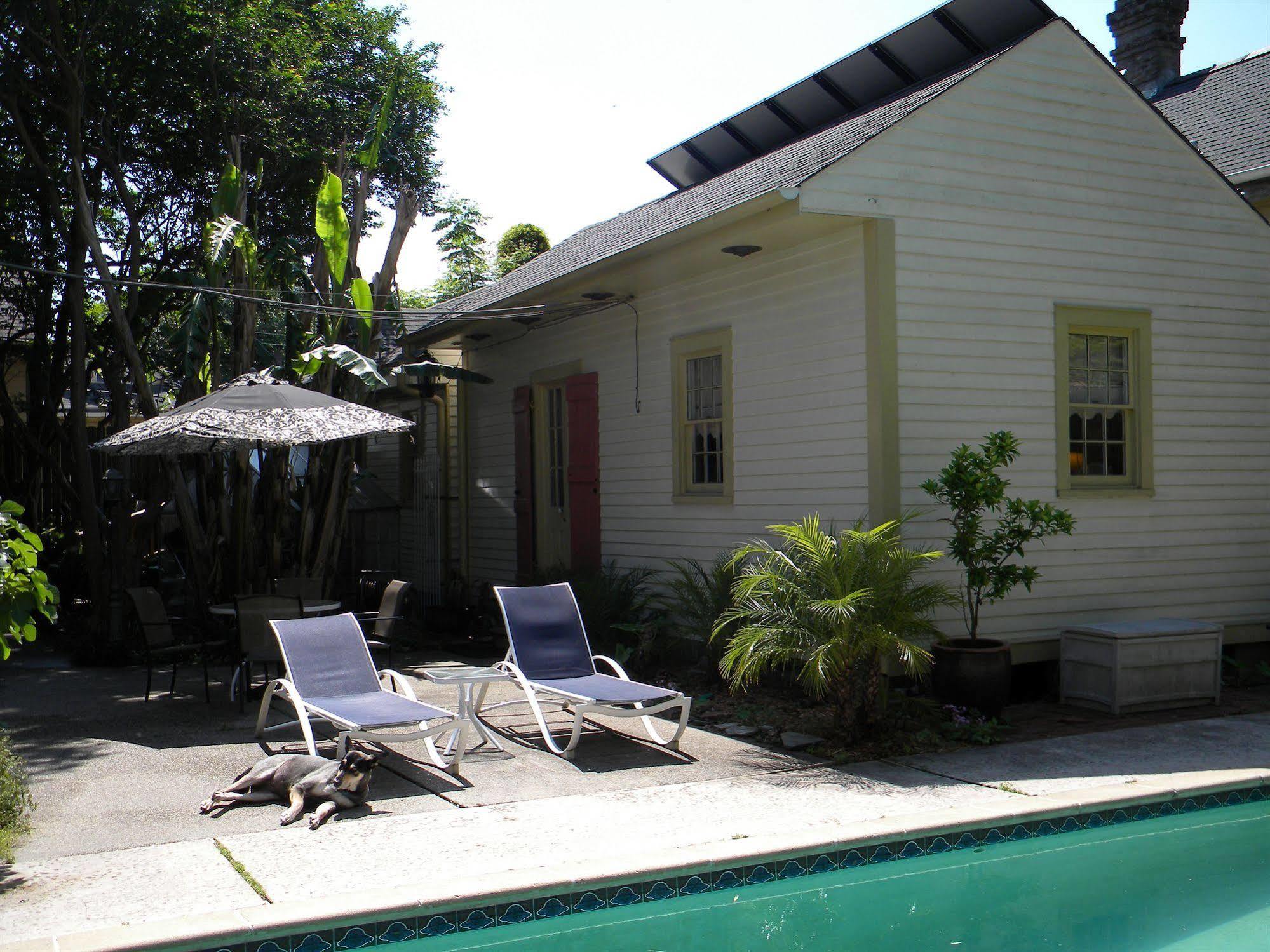 Maison De Macarty Bed & Breakfast New Orleans Dış mekan fotoğraf